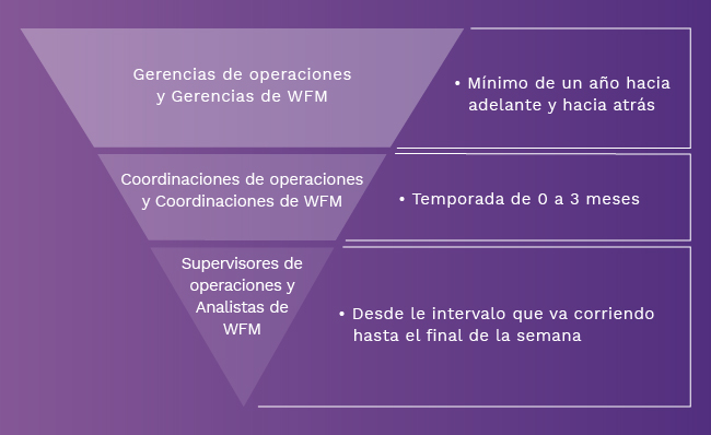 Proceso de analítica y WFM